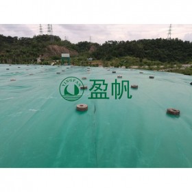 沼氣池HDPE防滲漏土工膜批發(fā)  沉淀池防水土工膜 儲油罐土工膜廠家