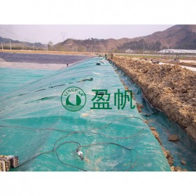 黑膜沼氣池廠家  耐腐蝕土工膜廠家  污水處理防滲膜廠家  垃圾填埋場(chǎng)土工膜廠家  化工廠土工膜廠家