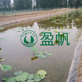 泥鰍黃鱔專用HDPE膜  魚池土工膜 牛蛙養(yǎng)殖防滲膜  全新料養(yǎng)殖薄膜  護坡專用膜