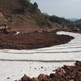 成都垃圾填埋場專用防水毯  天然鈉基膨潤土防水毯 GcL  防水墊 沼氣池防滲膜供應