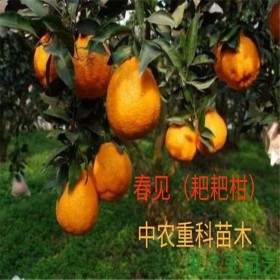 簡(jiǎn)陽(yáng)市中農(nóng)重科苗木專業(yè)合作社