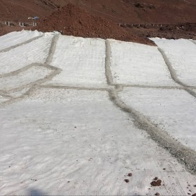 天然鈉基膨潤(rùn)土防水毯  景觀湖防滲   沼氣池防滲    泳池防滲