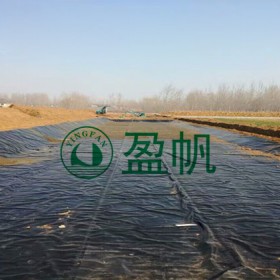 鹽場結(jié)晶池土工膜 鹵水池沾蓋土工膜 黑膜沼氣池土工膜批發(fā)