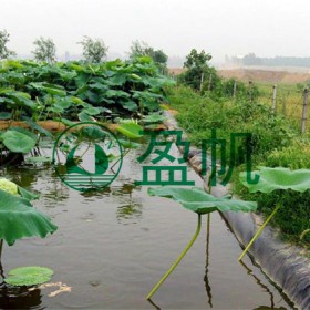 四川膨潤土防水毯  天然鈉基膨潤土防水毯  GCL膨潤土防水毯  覆膜防水毯