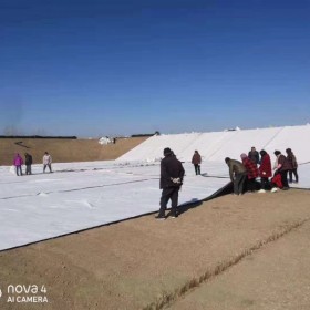 盈帆牌 天然鈉基膨潤土防水毯  景觀湖防滲   覆膜防水毯