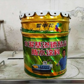 水泥基滲透結(jié)晶防水涂料20kg 滲透結(jié)晶硬質(zhì)結(jié)膜防水涂料柔韌涂料