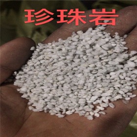 珍珠巖防火材料 蔬菜種植 育苗基質(zhì) 耐火吸音降噪 目數(shù)齊全