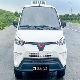 貝瑞汽車(chē)   五菱雪寶EV-純電動(dòng)冷藏車(chē)