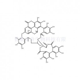 訶子鞣質(zhì)維克奇生物中藥對照品