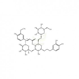 焦地黃苯乙醇苷A1維克奇生物實(shí)驗(yàn)室中藥對(duì)照品