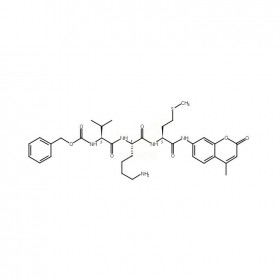 141223-71-4維克奇生物中藥對(duì)照品