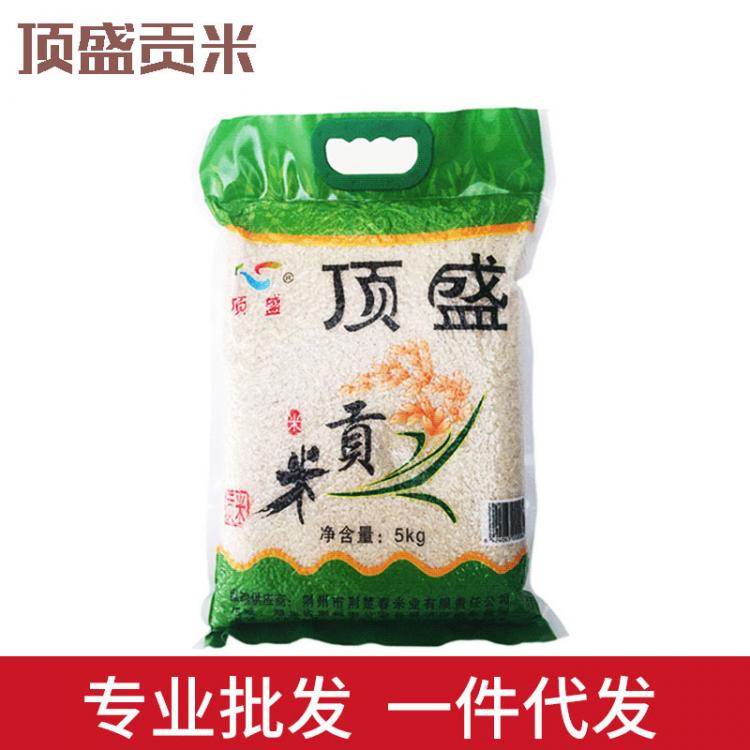 四川供應(yīng)大米10斤 5袋起批 招商批發(fā) 頂盛貢米 5KG食用大米