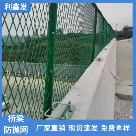 利鑫發(fā)-公路橋梁防拋網(wǎng)-鐵路防眩網(wǎng)-隔離網(wǎng)-雙邊鐵絲網(wǎng)