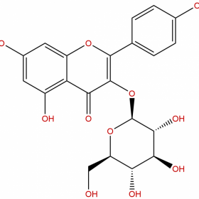 【麥德生】【分析標(biāo)準(zhǔn)品】紫云英苷；山柰酚-3-O-葡萄糖苷  480-10-4 20mg/支 HPLC＞99% 克級(jí)現(xiàn)貨供應(yīng) 順豐包郵 支持貨到付款