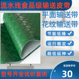 成都輸送帶 PVC PU PE PVK 阻燃防靜電食品級(jí)輸送帶 德國西格林