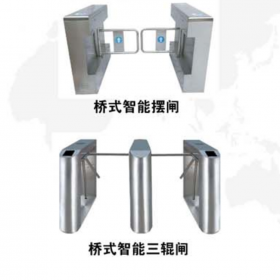 釘釘魔點人臉門禁機 機翼閘人行通道閘機 全國發(fā)貨 上門安裝