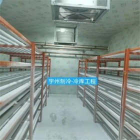 成都冷凍速凍庫設(shè)計(jì)安裝 冷庫工程建造 廠家直銷