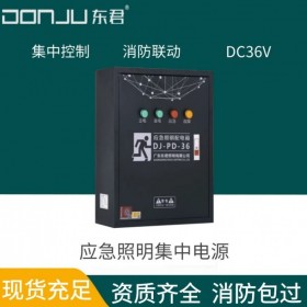 廣東東君照明 應(yīng)急照明配電箱 A型36V 消防通訊聯(lián)動(dòng) 雙電源 500W 分配電裝置 DJ-PD-36