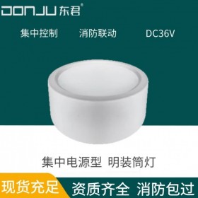 廣東東君照明 明裝筒燈 5W 智能消防應(yīng)急照明 吸頂燈 A型36V 集中電源型 DJ-05M