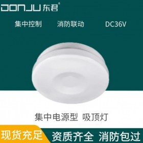 廣東東君照明 吸頂燈 9W 消防應(yīng)急照明燈 A型DC36V 集中電源集中控制型 DJ-03A