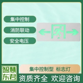 智能疏散指示 安全出口 樓層顯示 復(fù)合型標(biāo)志燈 集中控制 集中電源 A型 DC36V