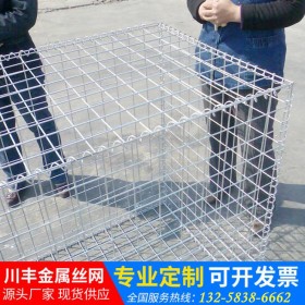 格賓石籠網(wǎng) 河道專用堤坡治理防汛防洪隧道防護鍍鋅絲 石籠網(wǎng)箱