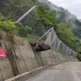 公路邊坡 公路護坡 道路邊坡防護 道路邊坡防護 邊坡支護工程施工方案 四川川豐專業(yè)生產(chǎn)邊坡工程防護網(wǎng)