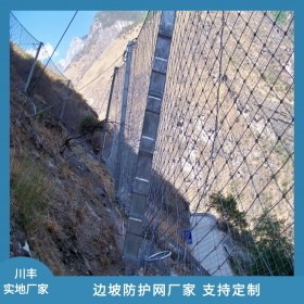 邊坡防護網廠家-川豐優(yōu)質供應高速公路邊坡防護網-高柔性 高防護強度