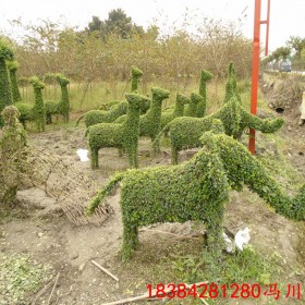 成都十二生肖動物植物編織造型長頸鹿大象馬植物編織基地幼兒園用