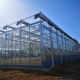 德農(nóng)川建造鍍鋅鋼管溫室大棚 尖頂耐用型蔬菜大棚