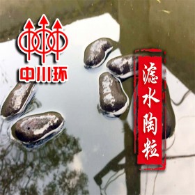 濾水陶粒 輕質(zhì)高強(qiáng)環(huán)保建筑回填陶粒生產(chǎn)基地 量大從優(yōu)