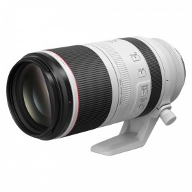 RF100-500mm F4.5-7.1 L IS USM   覆蓋500mm遠(yuǎn)攝區(qū)域的5倍大變焦L級(jí)鏡頭商城正式發(fā)售!