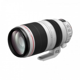 佳能 EF 100-400mm f/4.5-5.6L IS II USM 兼顧高畫質(zhì)與操作性的L級遠(yuǎn)攝變焦鏡頭