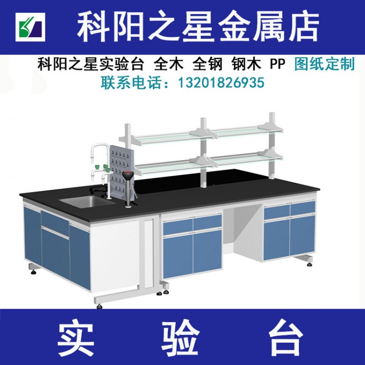 實驗室設(shè)備 鋼木實驗臺 實驗臺廠家定做 學(xué)校實驗臺