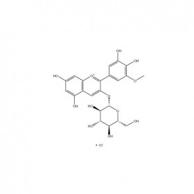 矮牽牛素-3-O-葡萄糖苷 CAS No：6988-81-4	HPLC≥95% 5mg/支 中藥對(duì)照品標(biāo)準(zhǔn)品