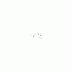 【樂(lè)美天】木通皂苷D；川續(xù)斷皂苷VI ｜ CAS No：39524-08-8  HPLC≥98%   20mg/支 中藥對(duì)照品 標(biāo)準(zhǔn)品