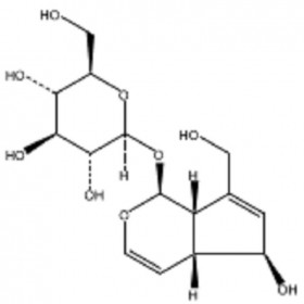 【樂美天】桃葉珊瑚苷  CAS：479-98-1  HPLC≥98%  20mg/支 中藥對照品/標準品