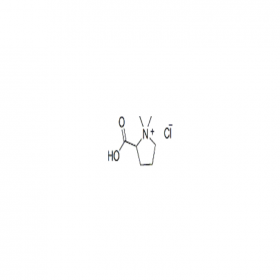 【樂美天】鹽酸水蘇堿 ｜ CAS No：4136-37-2	 HPLC≥98%	20mg/支 分析標(biāo)準(zhǔn)品/對(duì)照品