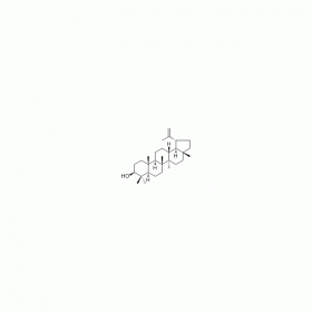 【樂美天】羽扇豆醇 ｜ CAS No：545-47-1   HPLC≥98%  20mg/支 分析標準品/對照品