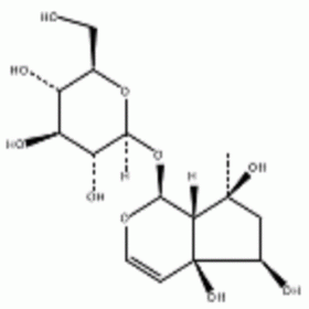 DH0059	哈巴苷	6926-08-5	 HPLC≥98%	20mg/支  分析標(biāo)準(zhǔn)品/對(duì)照品