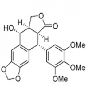 DK0031	苦鬼臼毒素	477-47-4	HPLC≥98% 	20mg/支 中藥對(duì)照品 標(biāo)準(zhǔn)品