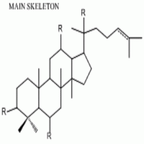 【樂美天】三七總皂苷	HPLC≥80%  100mg/支 分析標(biāo)準(zhǔn)品/對(duì)照品