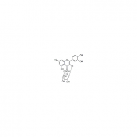 【樂美天】槲皮素-3-O-β-D-吡喃葡糖苷酸；槲皮素-3-葡萄糖醛酸苷 CAS No：22688-79-5  HPLC≥98%  20mg/支