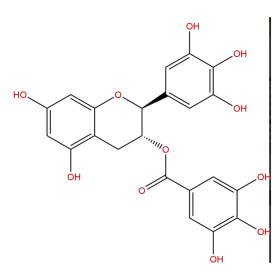 【樂美天】沒食子兒茶素沒食子酸酯  CAS No：4233-96-9   HPLC≥98%   20mg/支分析標準品對照品