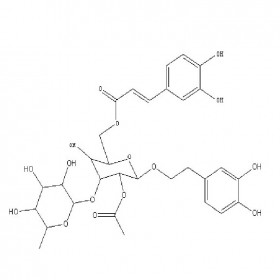 【樂美天】管花苷B 112516-04-8  HPLC≥98%  20mg/支 分析標(biāo)準(zhǔn)品/對(duì)照品