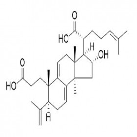 【樂美天】茯苓新酸B 137551-39-4  HPLC≥95% 20mg/支分析標準品/對照品