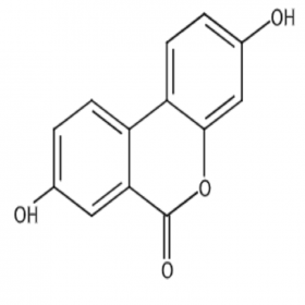 【樂(lè)美天】尿石素A  1143-70-0  HPLC≥98%  20mg/支 分析標(biāo)準(zhǔn)品/對(duì)照品