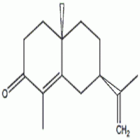 【樂(lè)美天】α-香附酮	473-08-5	HPLC≥98% 0.15ml/支  分析標(biāo)準(zhǔn)品/對(duì)照品