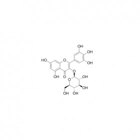 【樂(lè)美天】楊梅素-3-O-β-D-葡萄糖苷   CAS No：19833-12-6 	HPLC≥98%  5mg/支分析標(biāo)準(zhǔn)品對(duì)照品