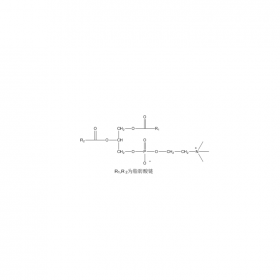 【樂(lè)美天】蛋黃磷脂酰膽堿 | CAS No：93685-90-6	HPLC≥98%  20mg/支標(biāo)準(zhǔn)品對(duì)照品